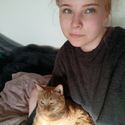 Käyttäjä