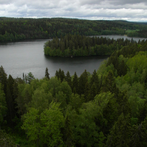 Maailman luontopäivä