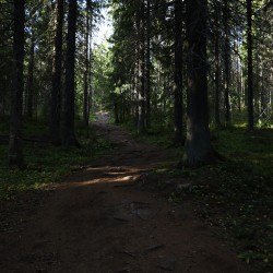 Käyttäjä
