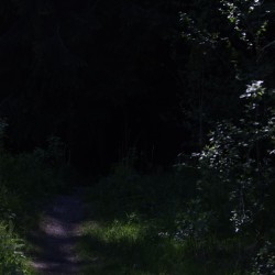 Käyttäjä