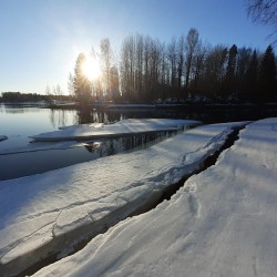 Käyttäjä