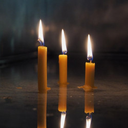 Earth Hour