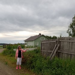 Käyttäjä