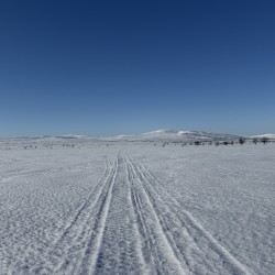 Käyttäjä