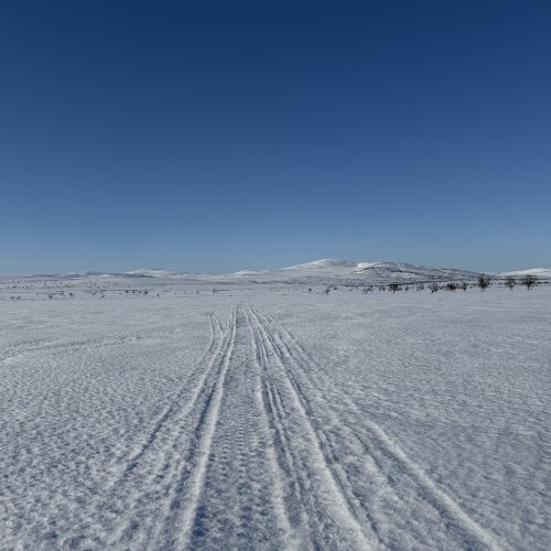 Käyttäjä